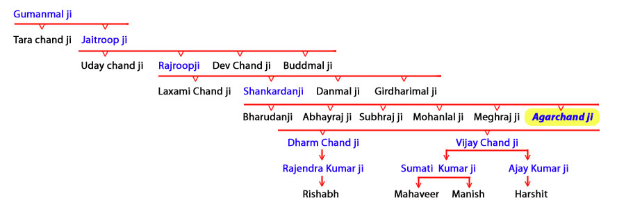 Family tree of Shri Agarchand Nahata